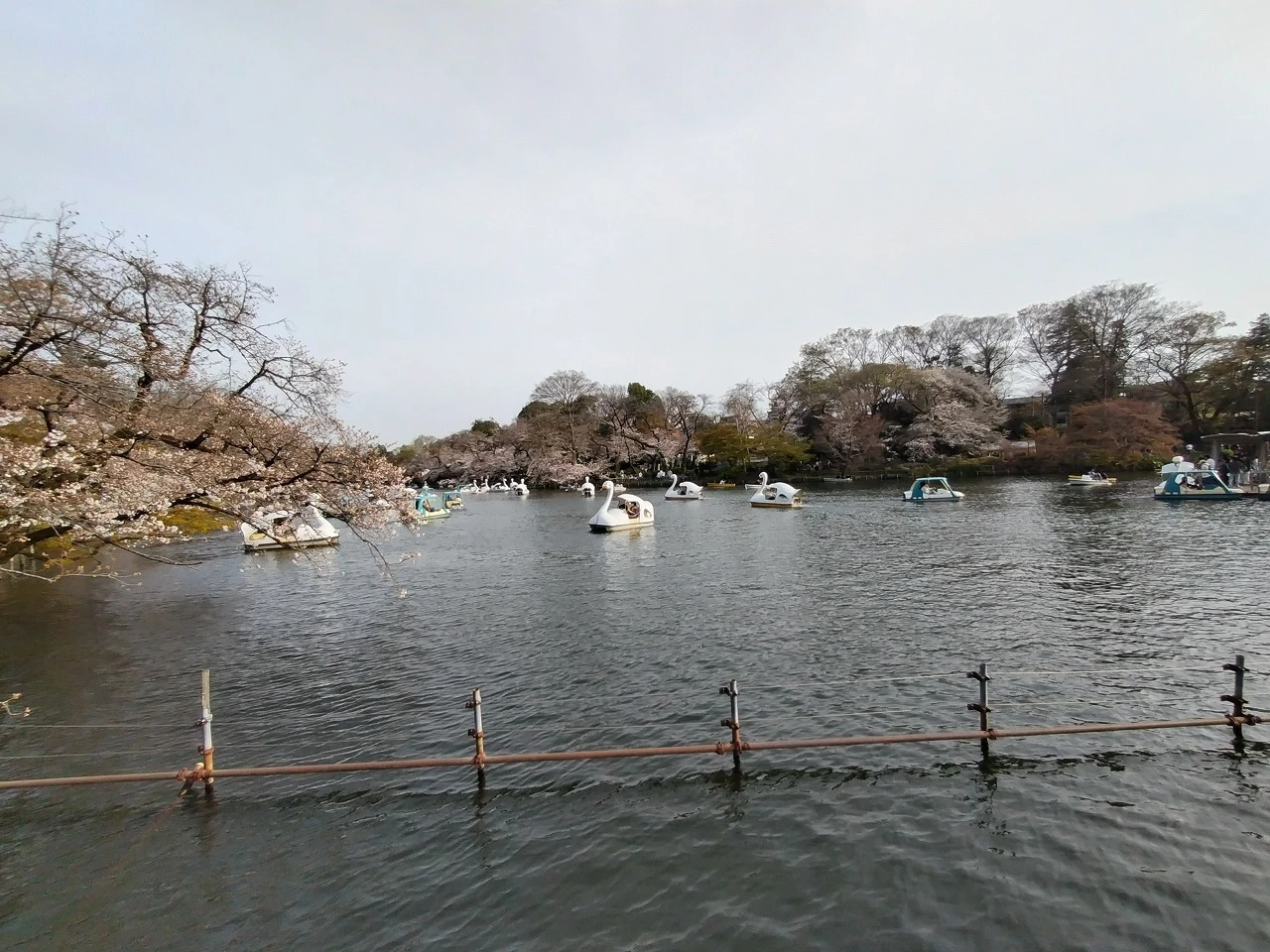 武蔵野エリアについて