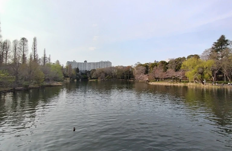 吉祥寺で不動産査定｜お客様にとっての1番の発見を株式会社コロンブスがサポートします